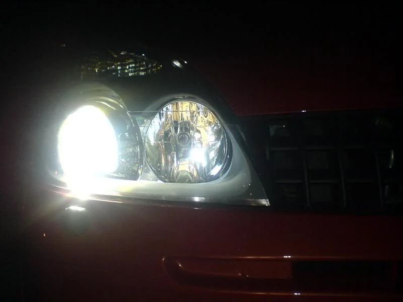 DSC00311Medium.webp