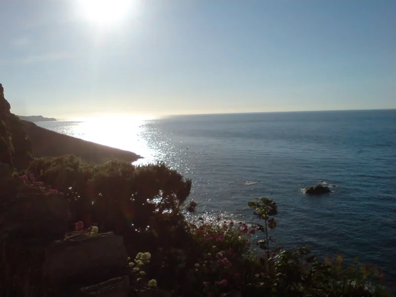 DSC00312.webp