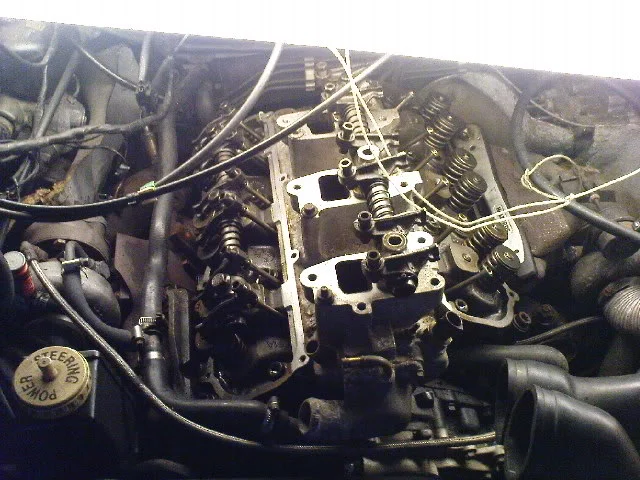 DSC00313.webp