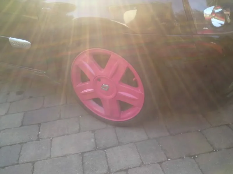 DSC00313.webp