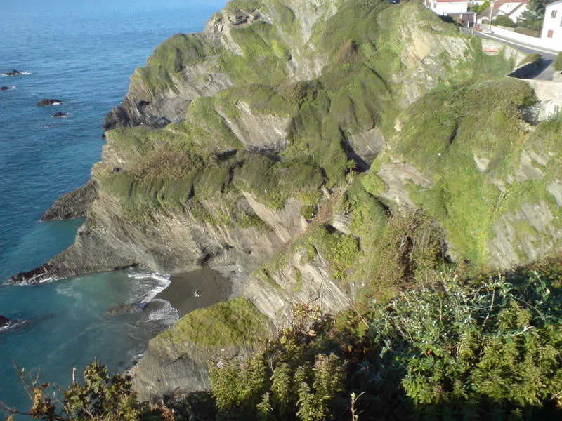 DSC00314.webp