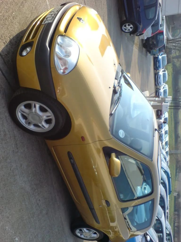 DSC00314.webp