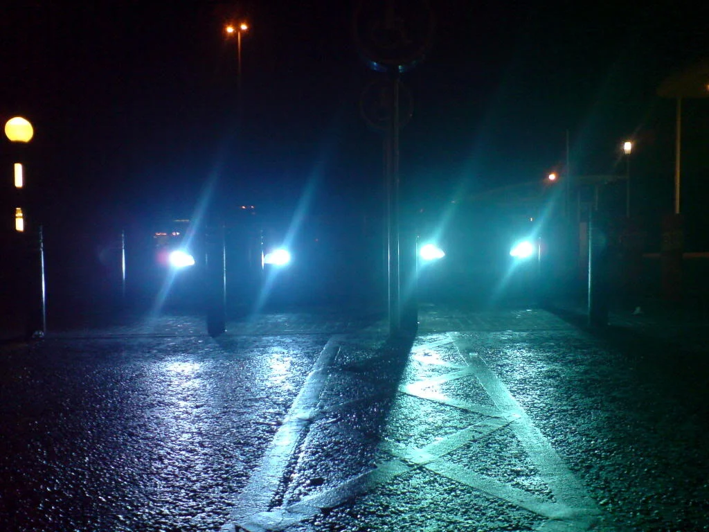 DSC00320.webp
