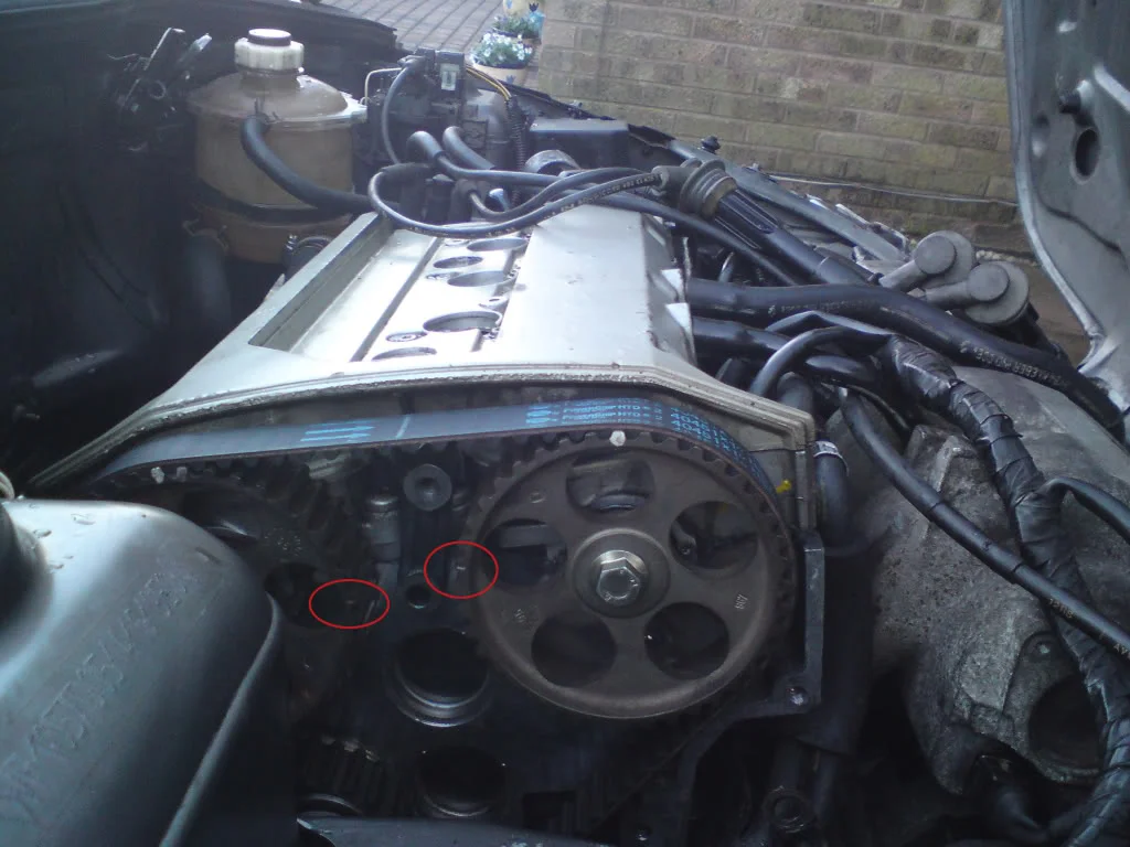 DSC00321-1.webp