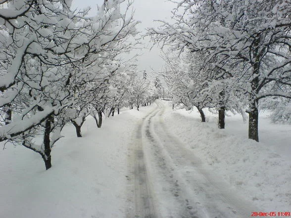 DSC00321.webp