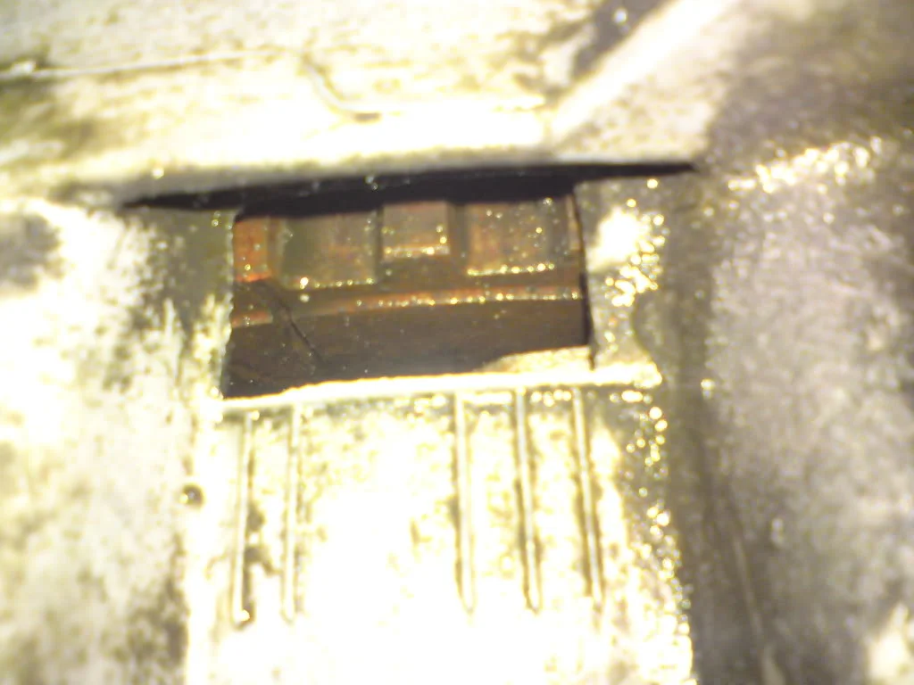 DSC00322.webp
