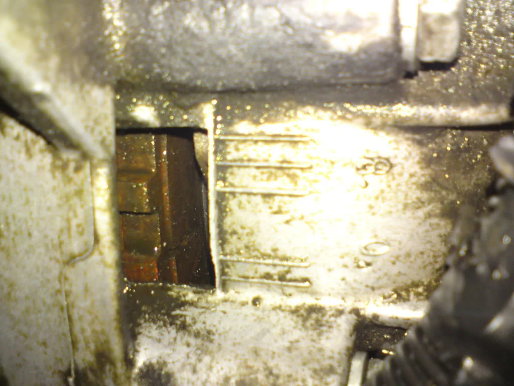 DSC00324.webp