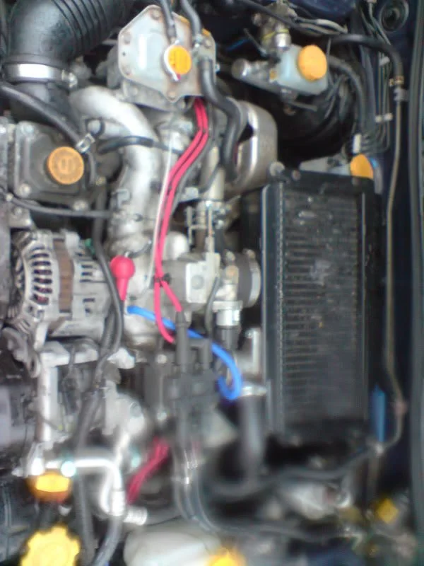 DSC00325.webp