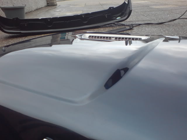 DSC00330-1.jpg