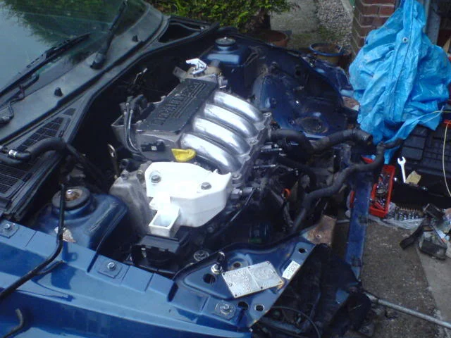 DSC00330.webp