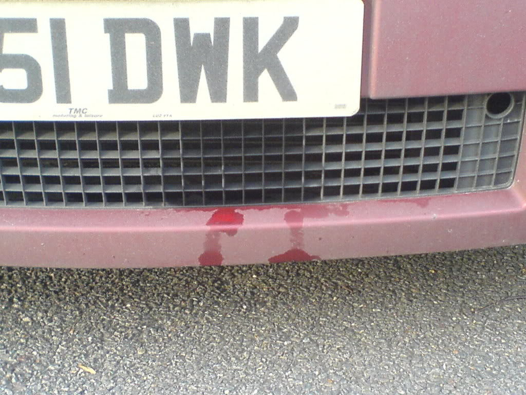 DSC00331.jpg DSC00331.jpg