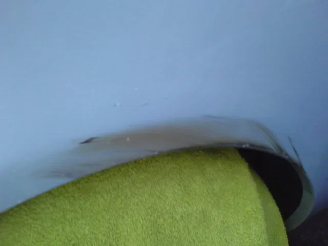 DSC00341.webp