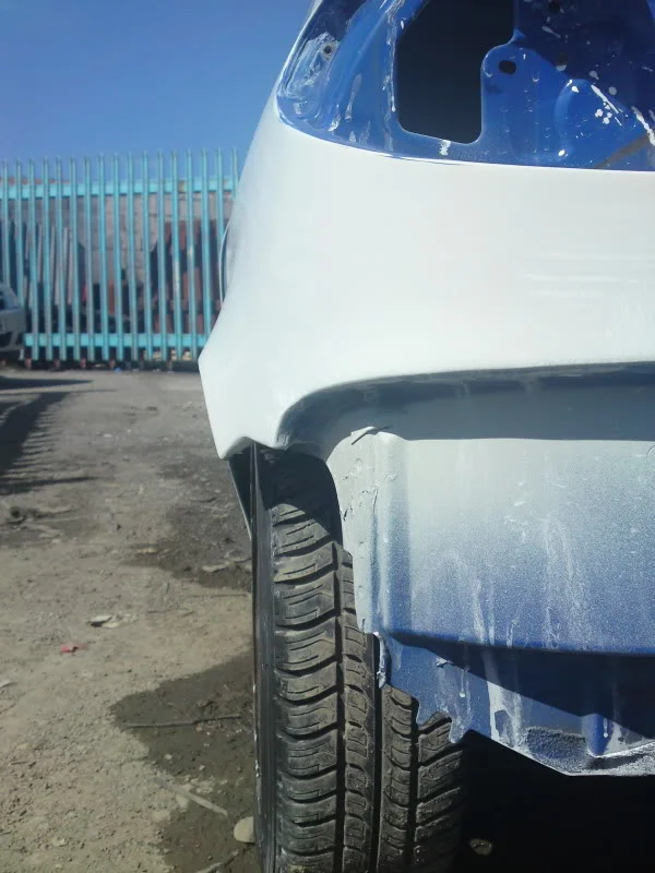 DSC00350-1.webp
