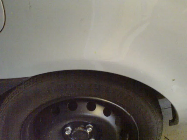 DSC00353.webp