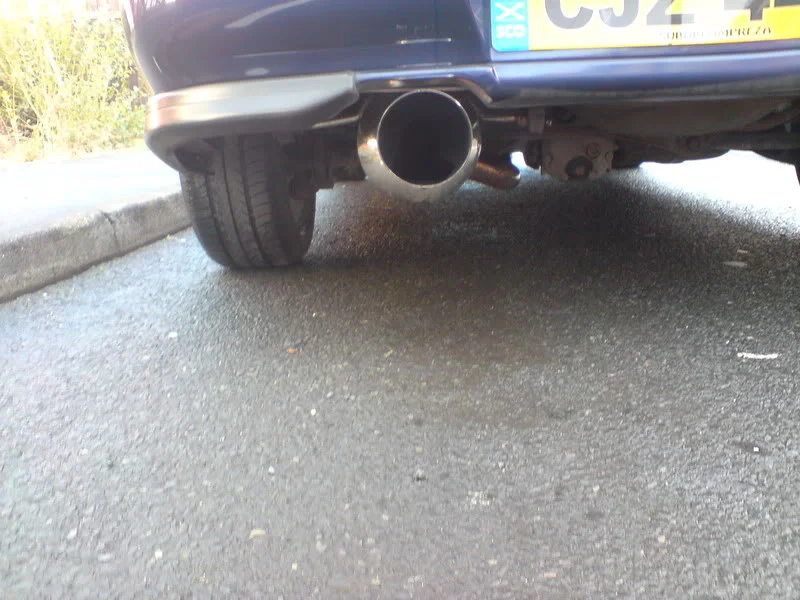 DSC00359.webp