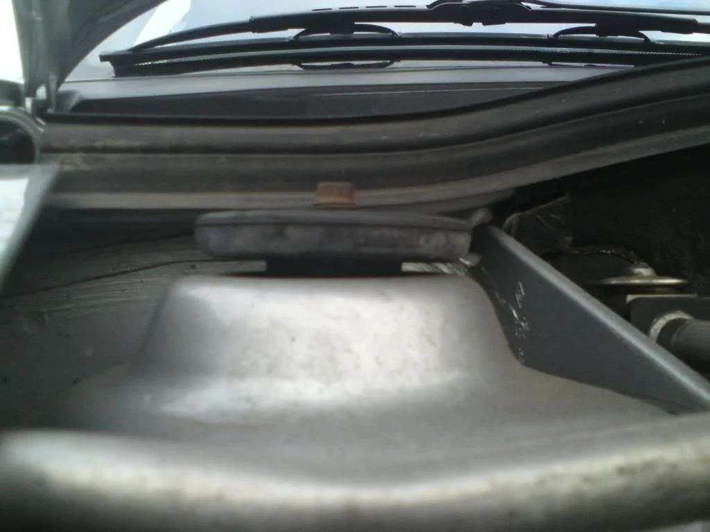 DSC00359.webp