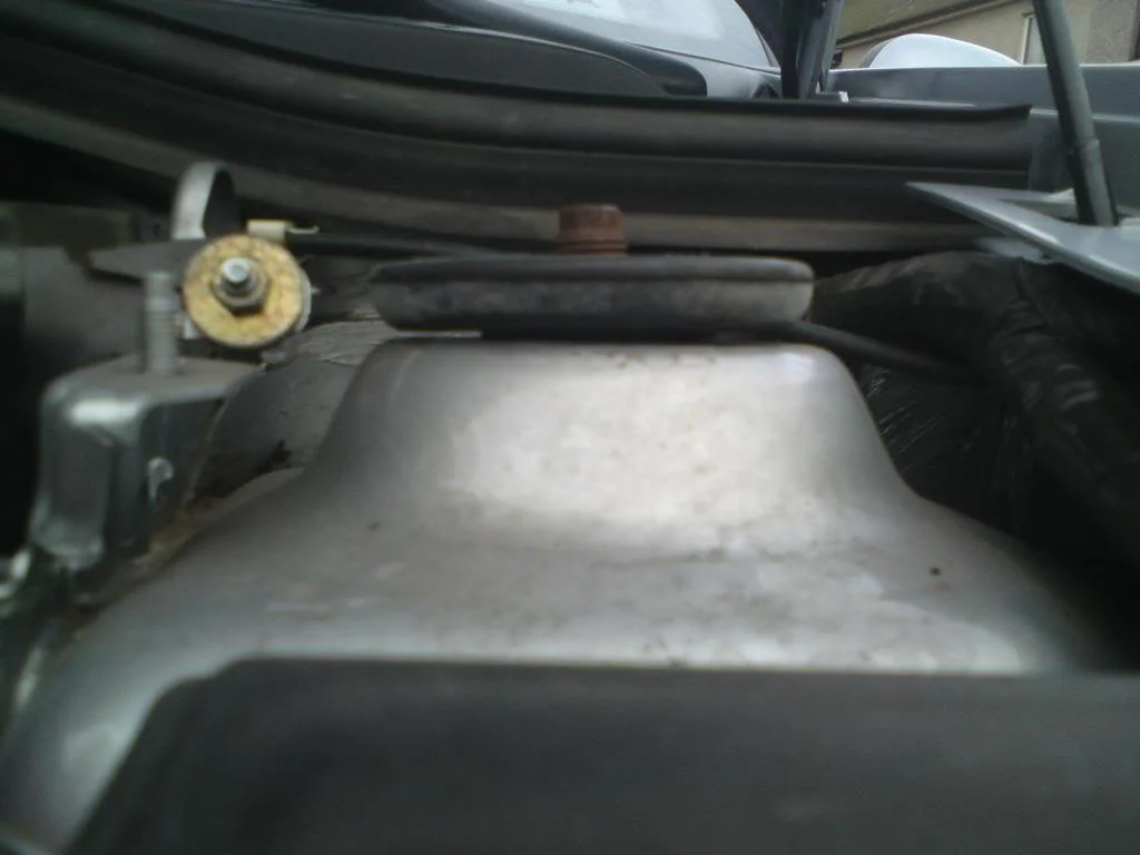 DSC00360.webp