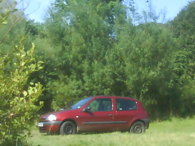 DSC00364.jpg
