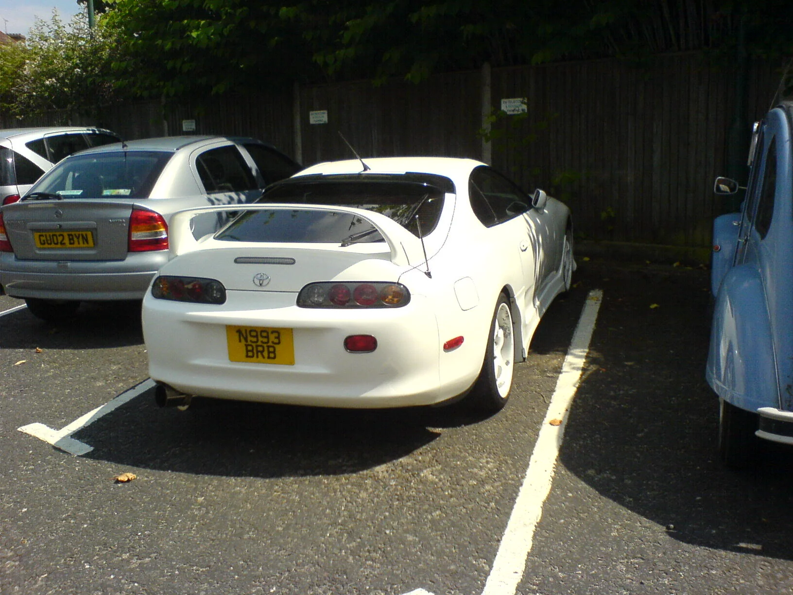 DSC00365.webp