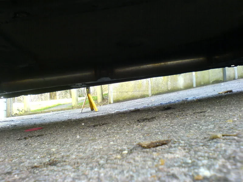 DSC00366.webp