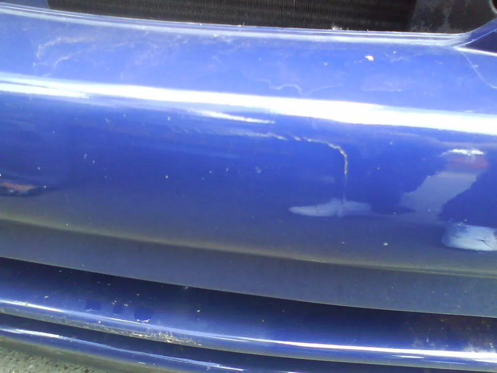 DSC00374.webp
