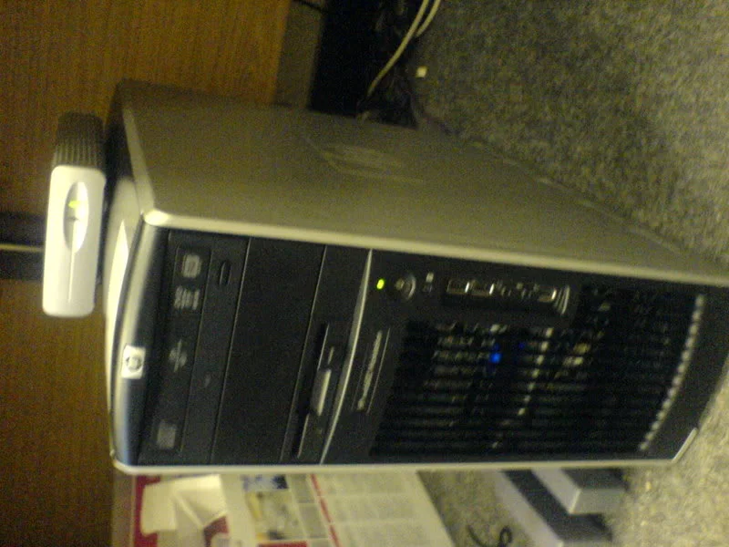 DSC00381.webp