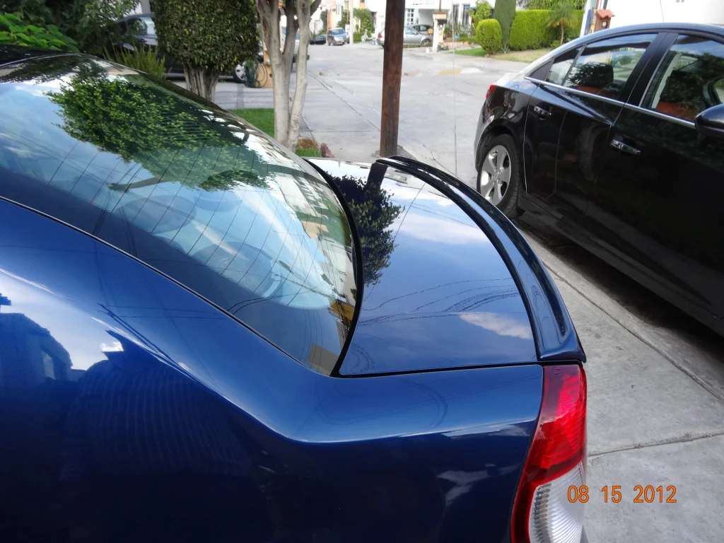 DSC00390.webp