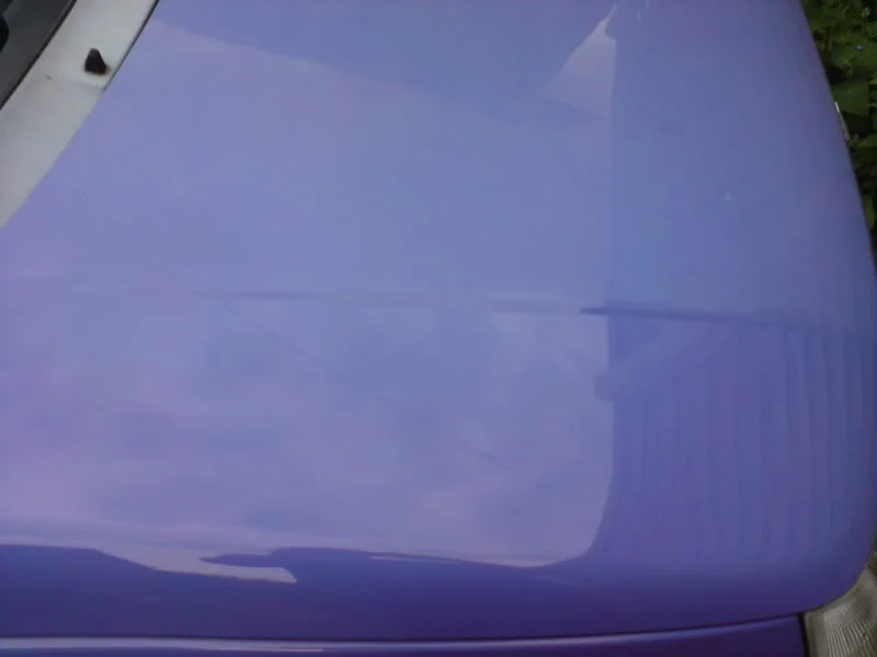 DSC00393.webp