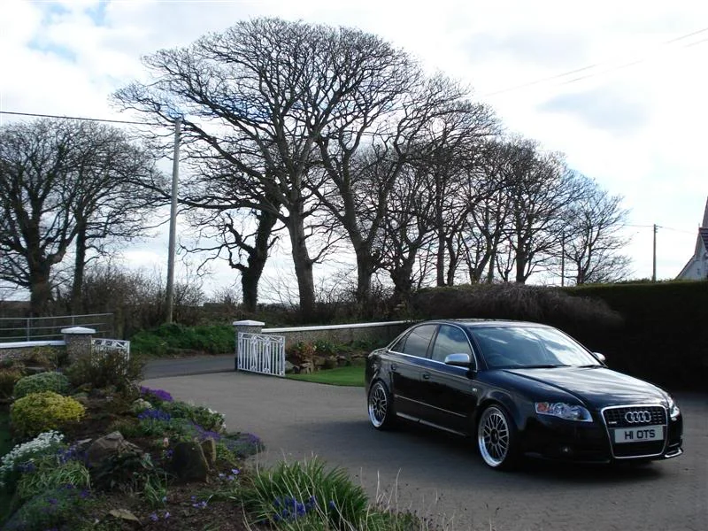 DSC00397Medium.webp