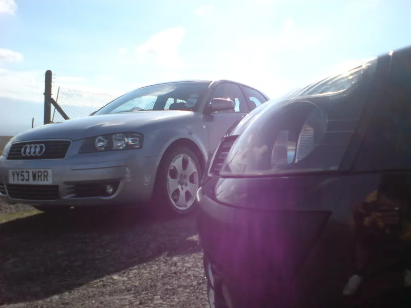 DSC00398.webp