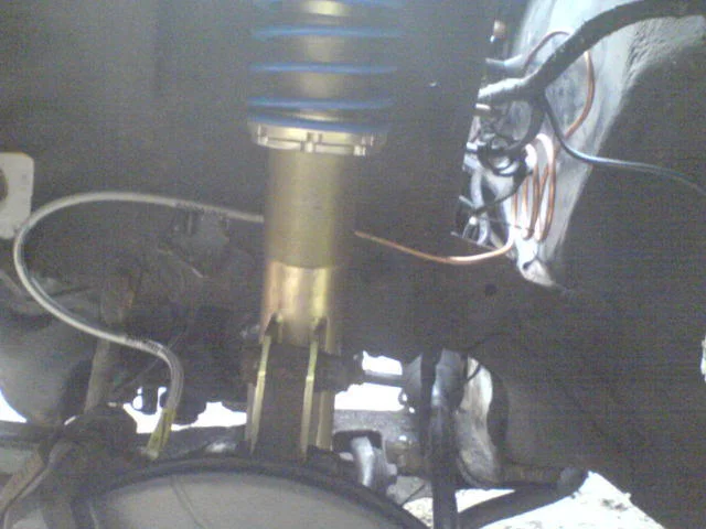DSC00403.webp