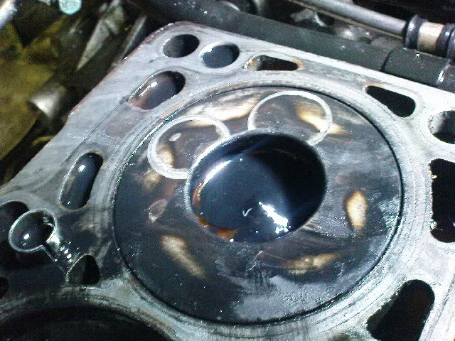 DSC00405.webp