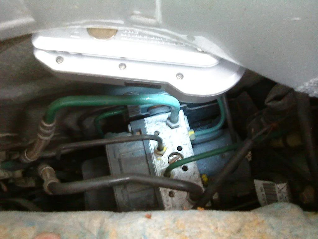 DSC00406.webp