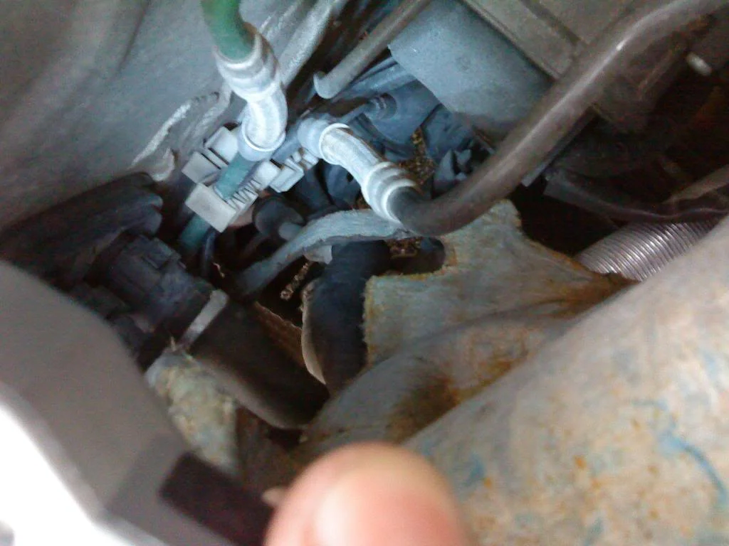 DSC00408.webp