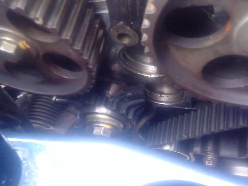 DSC00410.webp