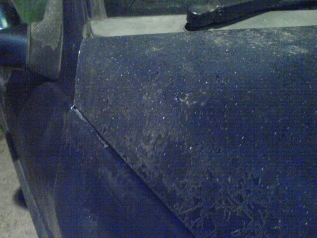 DSC00414.webp