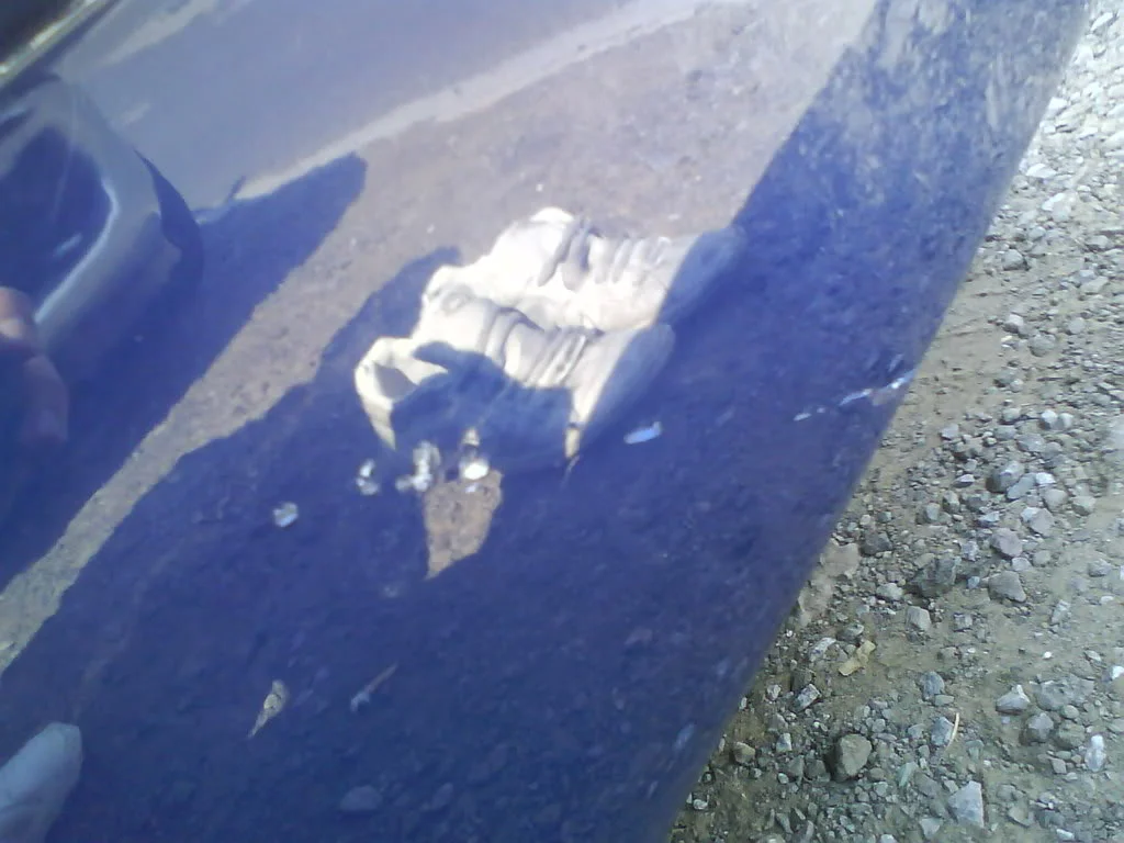 DSC00415.webp