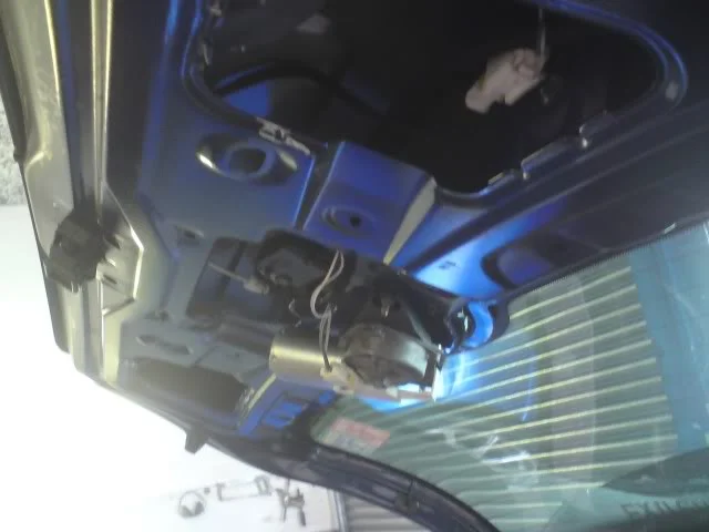 DSC00427.webp