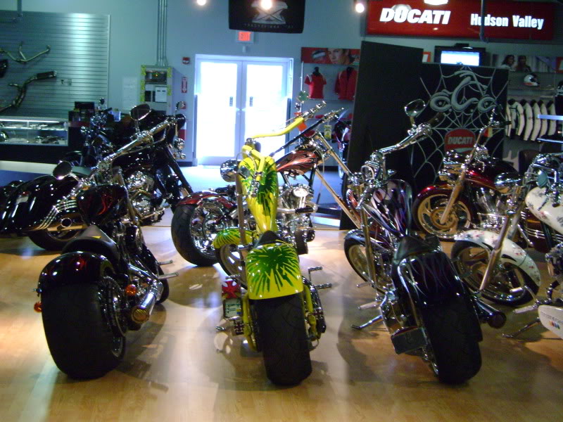 DSC00434.jpg