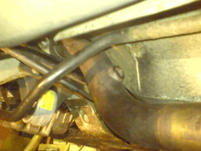 DSC00434.webp