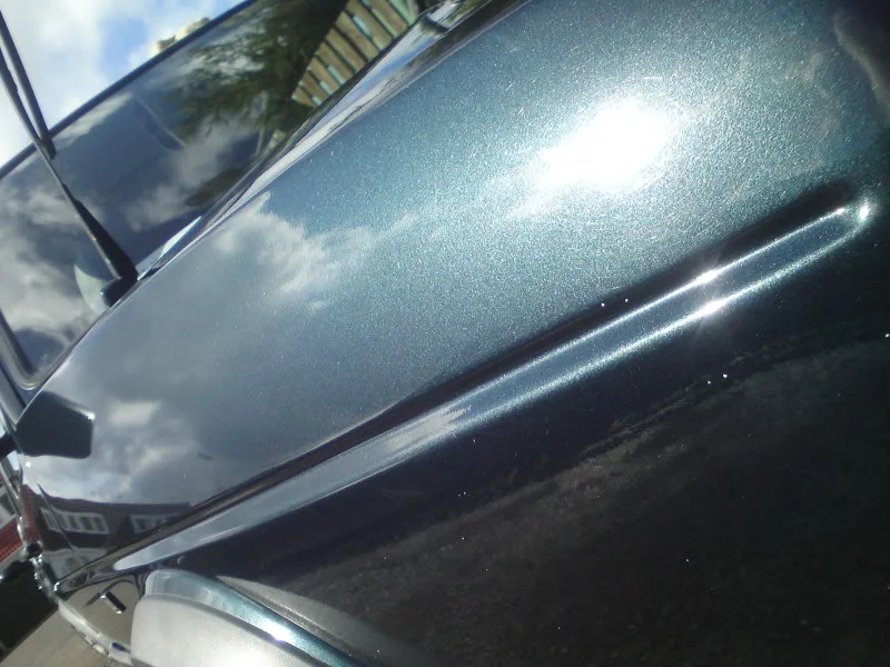 DSC00435.webp