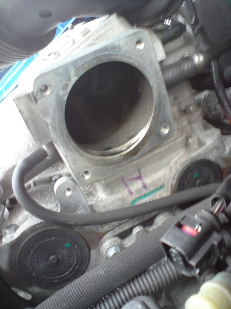 DSC00439.webp