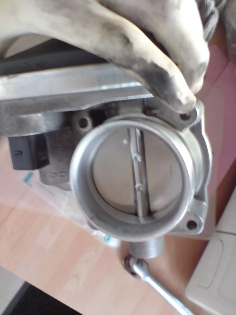 DSC00440.webp