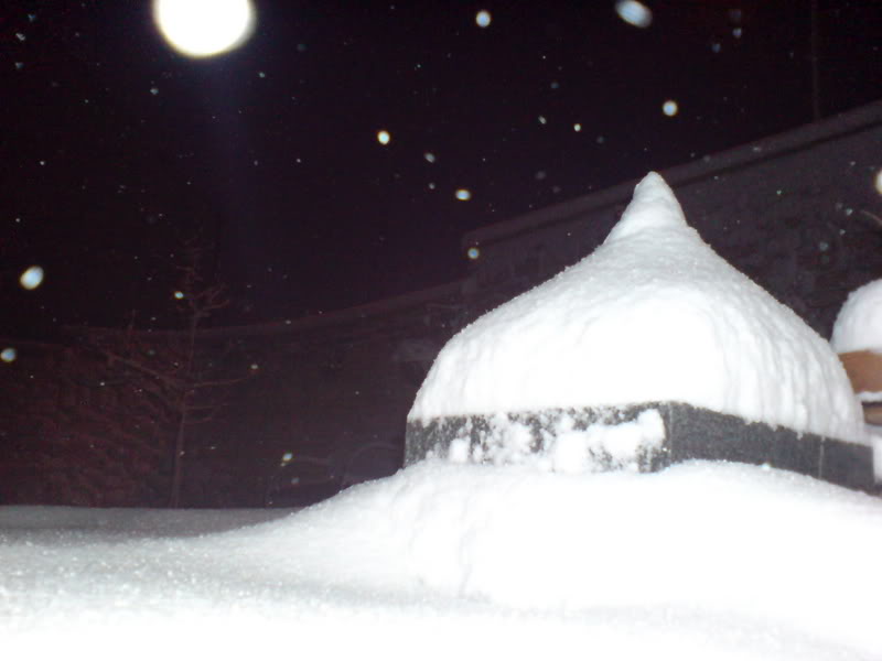 DSC00442.jpg