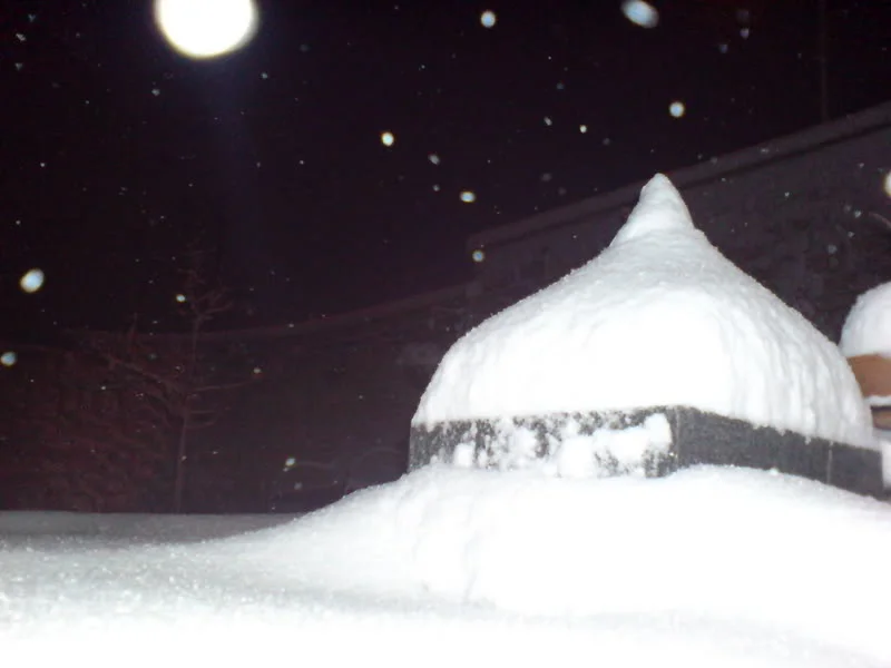 DSC00442.webp