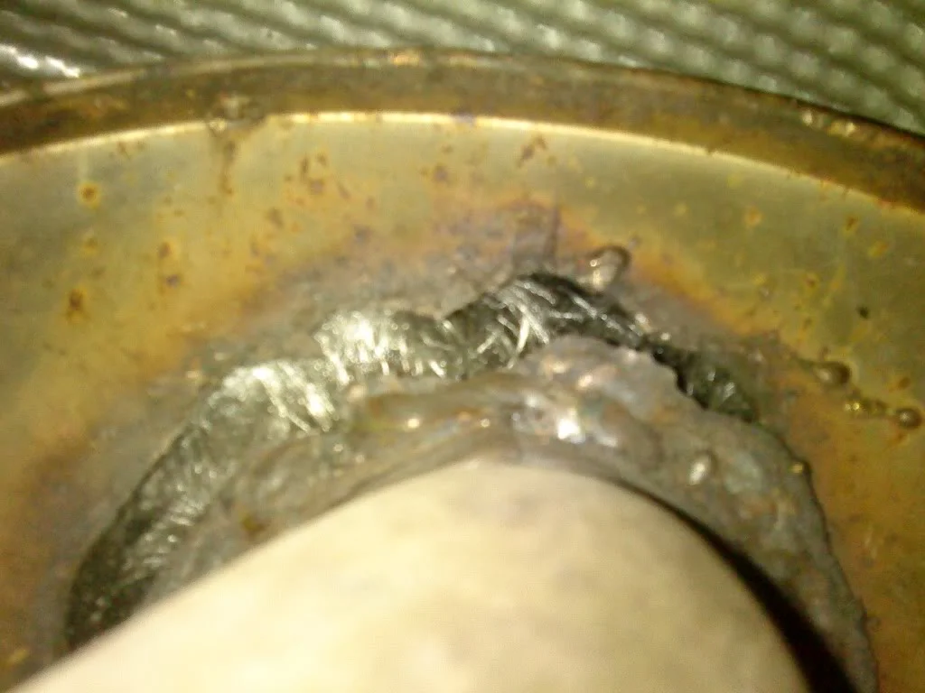 DSC00443.webp