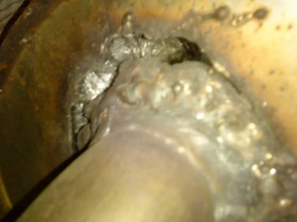 DSC00444.webp