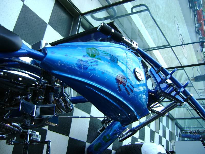 DSC00445.jpg
