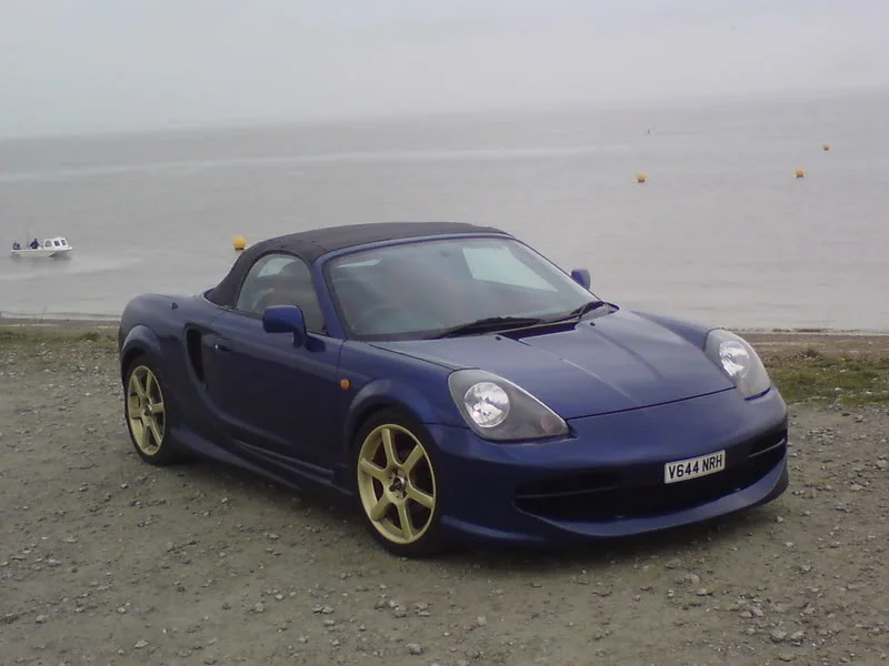 DSC00446.webp