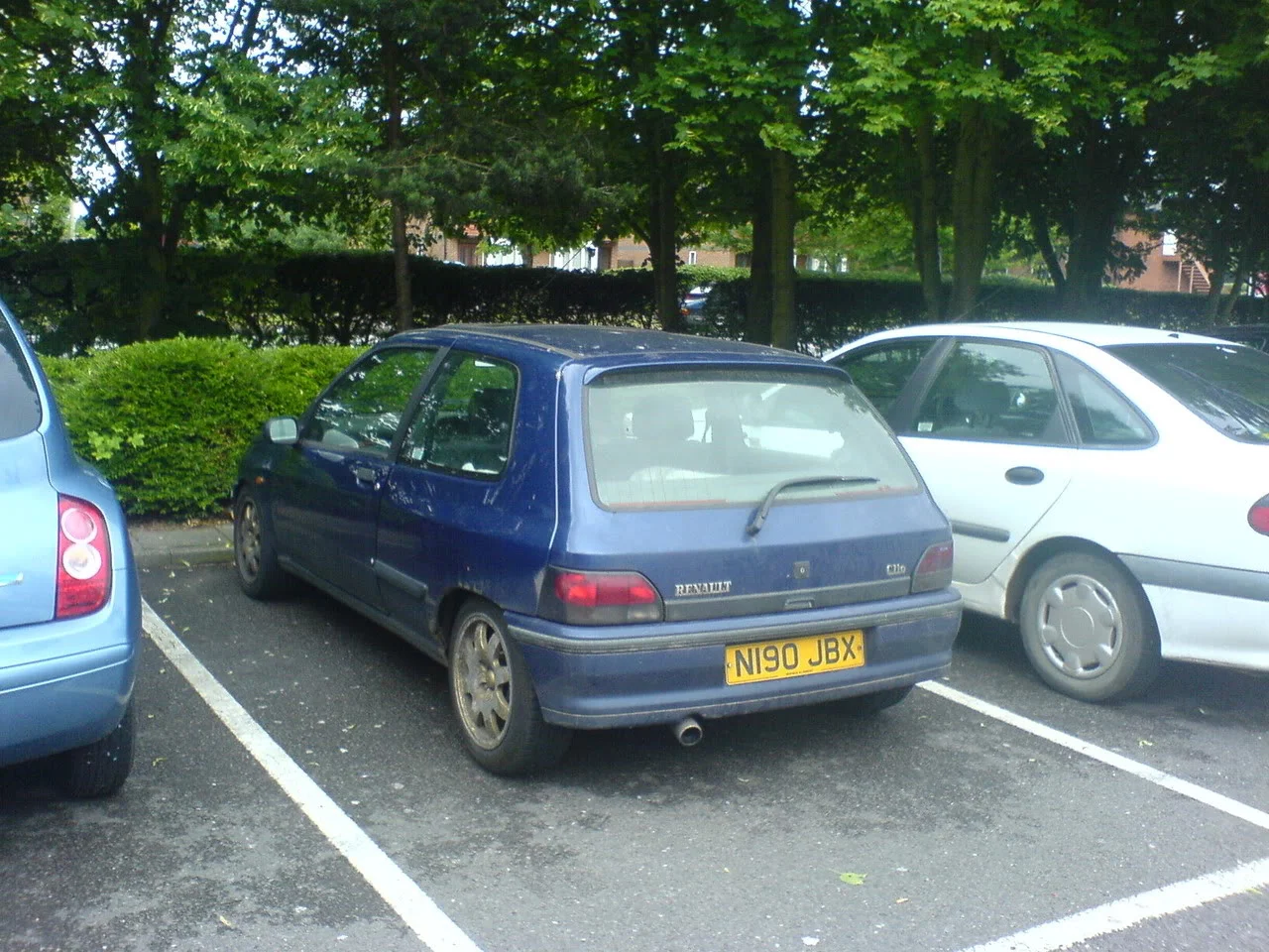 DSC00447.webp